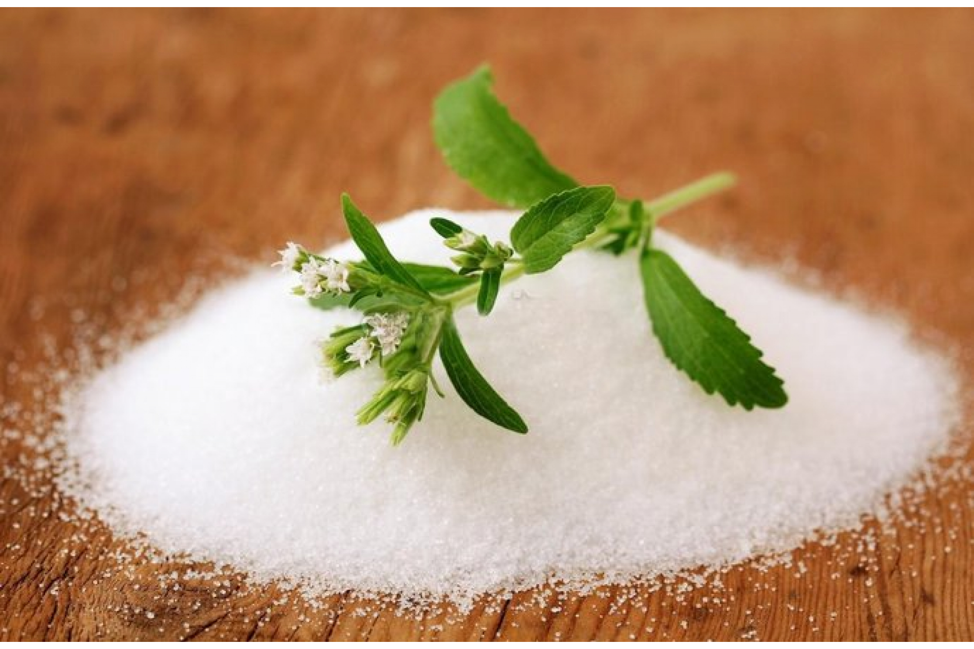 Stevia, avagy jázminpakóca: édesebb és egészségesebb a cukornál, mégsem ismerjük