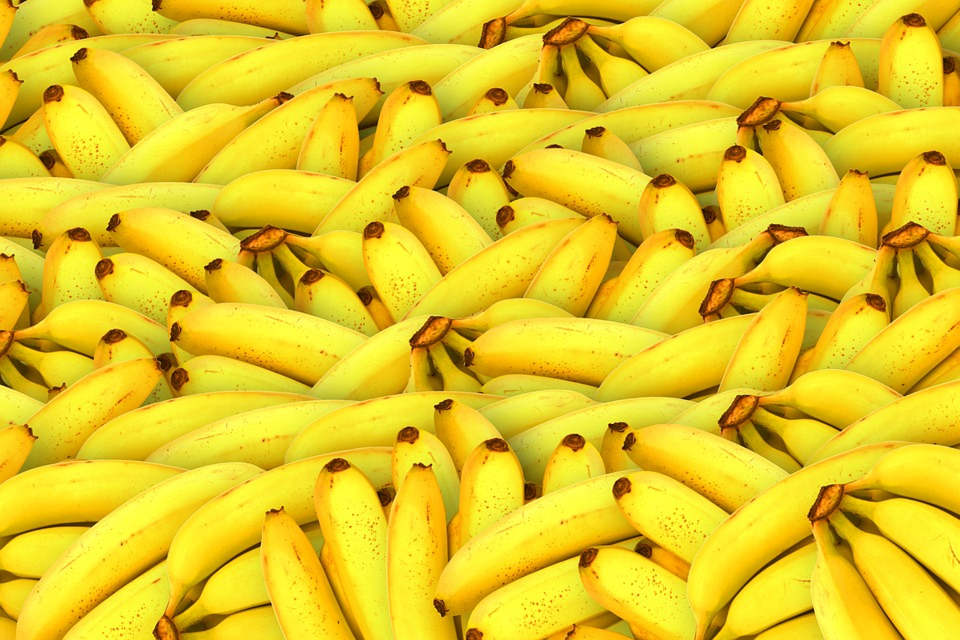 Ne menjünk a boltba banánért! – Szakítsunk le egyet otthon a fáról!